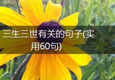 三生三世有关的句子(实用60句)