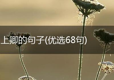 上卿的句子(优选68句)
