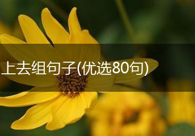 上去组句子(优选80句)