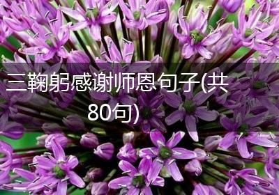 三鞠躬感谢师恩句子(共80句)