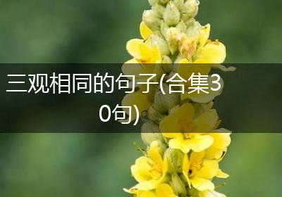 三观相同的句子(合集30句)