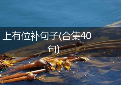 上有位补句子(合集40句)