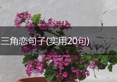 三角恋句子(实用20句)