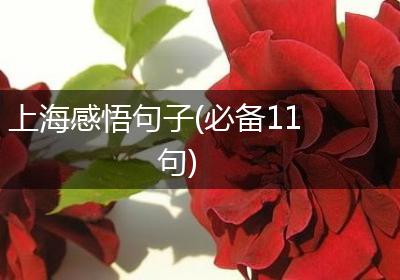 上海感悟句子(必备11句)