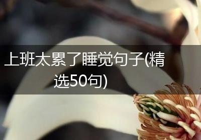 上班太累了睡觉句子(精选50句)