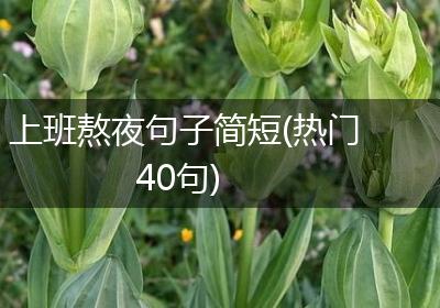 上班熬夜句子简短(热门40句)