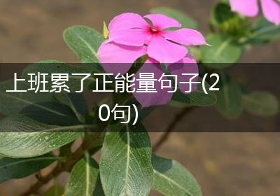 上班累了正能量句子(20句)