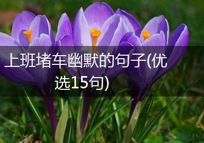 上班堵车幽默的句子(优选15句)