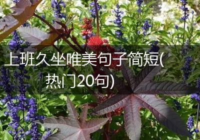 上班久坐唯美句子简短(热门20句)