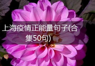 上海疫情正能量句子(合集50句)