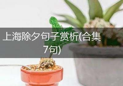 上海除夕句子赏析(合集7句)