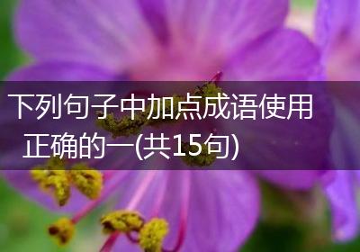下列句子中加点成语使用正确的一(共15句)