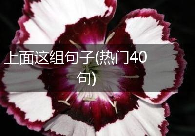 上面这组句子(热门40句)