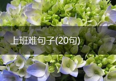 上班难句子(20句)