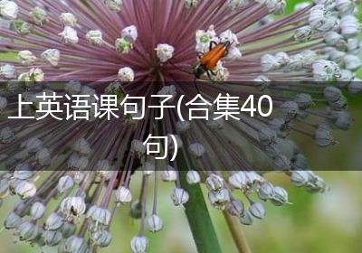 上英语课句子(合集40句)