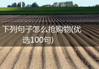 下列句子怎么抢购物(优选100句)