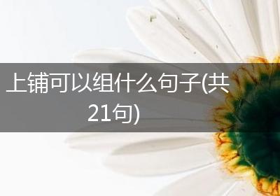 上铺可以组什么句子(共21句)