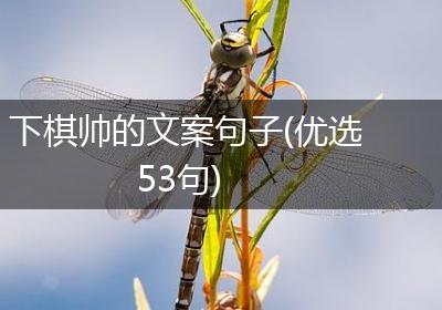 下棋帅的文案句子(优选53句)