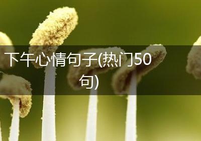 下午心情句子(热门50句)