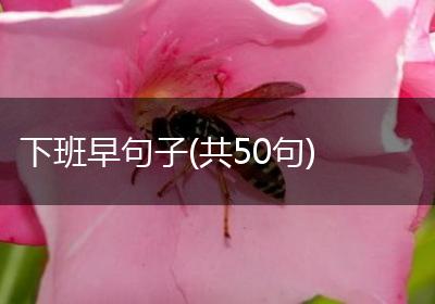 下班早句子(共50句)