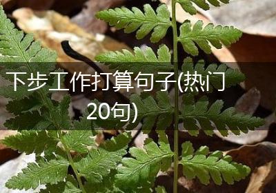 下步工作打算句子(热门20句)