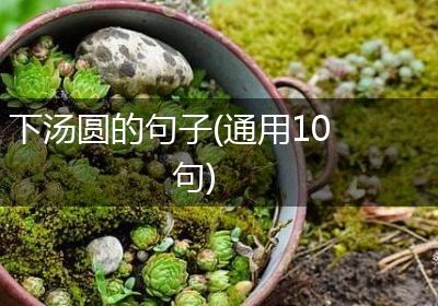 下汤圆的句子(通用10句)