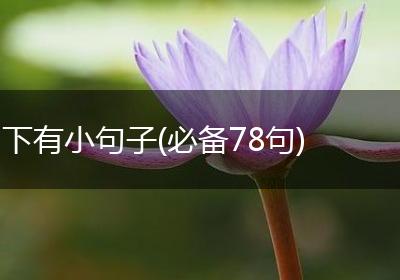 下有小句子(必备78句)