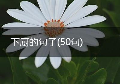 下厨的句子(50句)