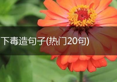 下毒造句子(热门20句)