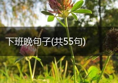 下班晚句子(共55句)