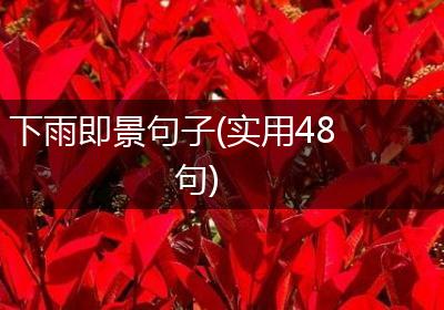 下雨即景句子(实用48句)