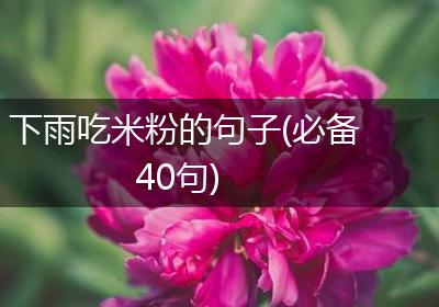 下雨吃米粉的句子(必备40句)