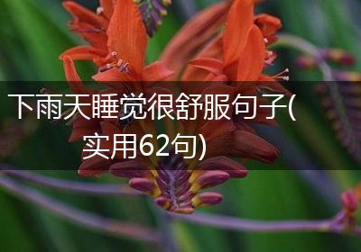 下雨天睡觉很舒服句子(实用62句)