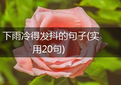 下雨冷得发抖的句子(实用20句)