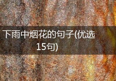 下雨中烟花的句子(优选15句)