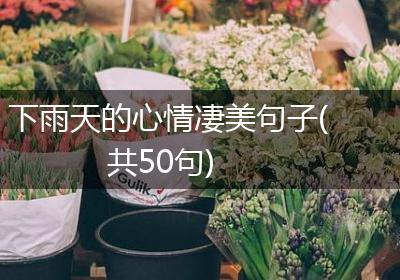 下雨天的心情凄美句子(共50句)