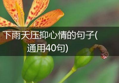下雨天压抑心情的句子(通用40句)