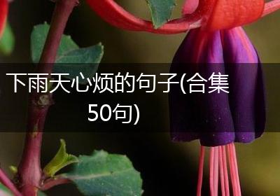下雨天心烦的句子(合集50句)