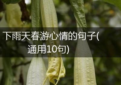 下雨天春游心情的句子(通用10句)