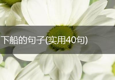 下船的句子(实用40句)