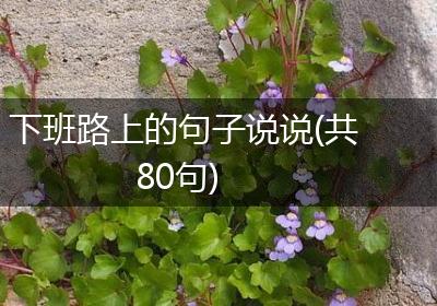 下班路上的句子说说(共80句)