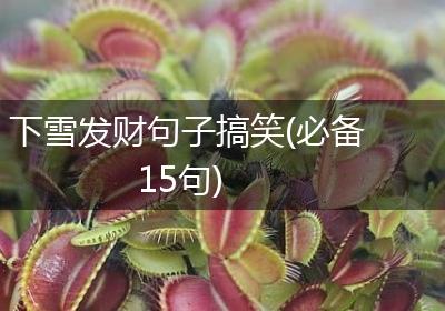 下雪发财句子搞笑(必备15句)