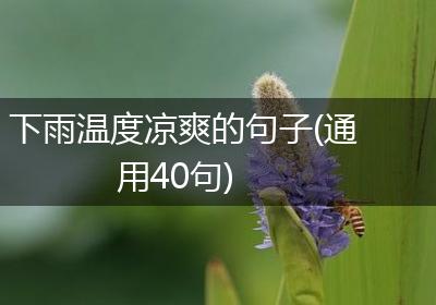 下雨温度凉爽的句子(通用40句)