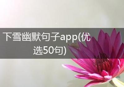 下雪幽默句子app(优选50句)