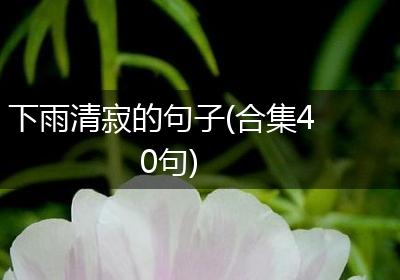 下雨清寂的句子(合集40句)