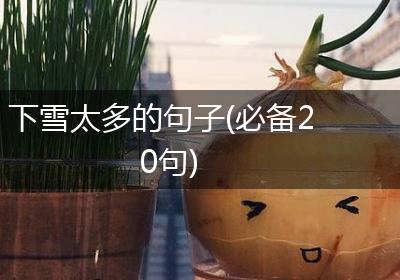 下雪太多的句子(必备20句)