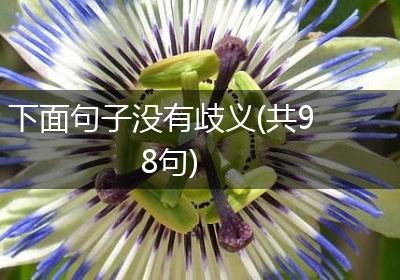 下面句子没有歧义(共98句)