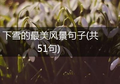 下雪的最美风景句子(共51句)