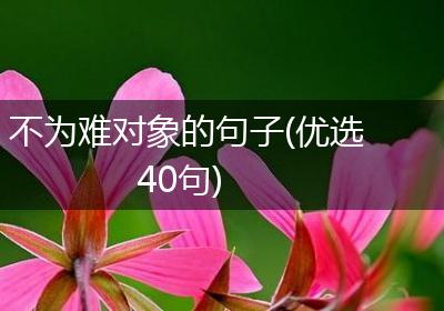 不为难对象的句子(优选40句)