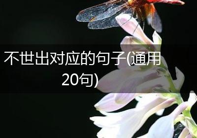 不世出对应的句子(通用20句)
